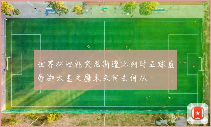 世界杯巡礼突尼斯遭比利时五球羞辱迦太基之鹰未来何去何从
